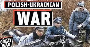 Why Ukraine and Poland Went to War in 1919? (Polish-Ukrainian War Documentary)