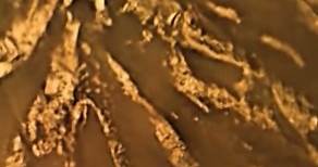 POV: Huygens probe landing on Titan