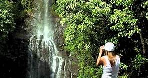 Road to Hana - The Incredible Journey - Valley Isle Excursions