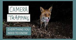 CAMERA TRAPPING: Equipment, Settings, Set Up