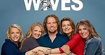 Sister Wives: Season 9 Episode 14 Tell All