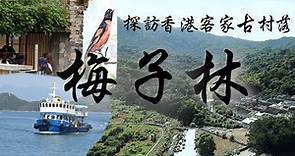 探訪香港300年客家古村落梅子林：盼外漂村民重聚