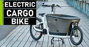 Top 10 Best Electric Cargo Bikes