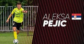 Aleksa PEJIC - Best Skills & Highlights