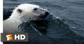 Arctic Tale (1/10) Movie CLIP - Hunting Walrus (2007) HD