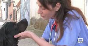 Beatriz Lozano, veterinaria a domicilio en Driebes | Ancha es Castilla-La Mancha