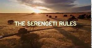 GREG KRIEK- THE SERENGETI RULES TEASER- TRIBECA 2018