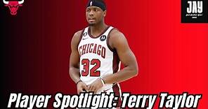 Chicago Bulls Player Spotlight: Terry Taylor