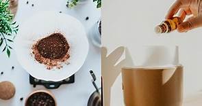 螞蟻怕什麼？13個天然驅蟲小妙招：咖啡渣、植物精油兼具質感又有效！｜東森新聞