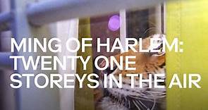Ming of Harlem: Twenty One Storeys in the Air - Apple TV (UK)