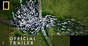 Europe From Above | Official Trailer - Elevate Your Perspective | National Geographic UK