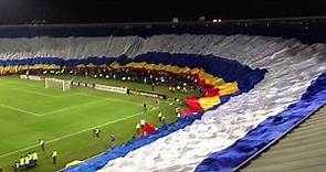 la bandera mas grande del mundo (Millonarios vs Corinthians) 3 de abril