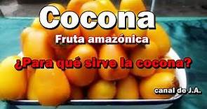La Cocona –Fruta amazónica- ¿Para qué sirve la cocona? Beneficios y propiedades