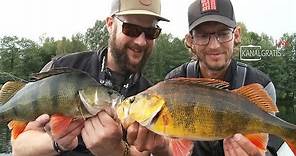 Kanalgratis Live - Steffan Jensen & Daniel Bergman - Jan 29th - Let's talk perch fly fishing & tying