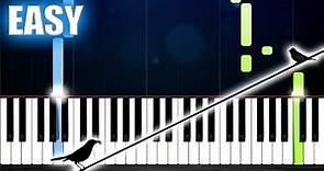 Regina Spektor - Two Birds On a Wire - EASY Piano Tutorial