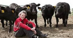 Dra. Temple Grandin. El bienestar animal dentro de la producción bovina