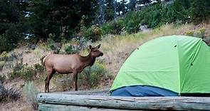 Where Should I Camp in Yellowstone National Park?