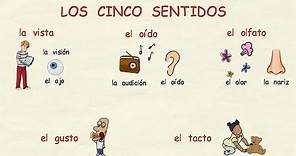 Aprender español: Los sentidos 👀👂👃👅✋ (nivel avanzado)
