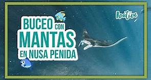 BUCEO con MANTAS en NUSA PENIDA | Una experiencia INOLVIDABLE!