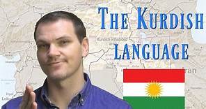 The Kurdish Language