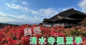 #3【京都滯在27天】京都賞楓 | 清水寺值得獲得一支專屬影片 | 京都一人旅