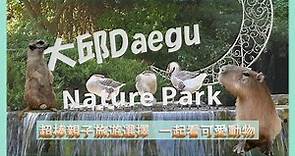 大邱自由行 超推薦景點！帶小朋友一起到大邱動物園 | Daegu Nature Park | 近距離跟可愛動物一起玩 | 韓國旅遊
