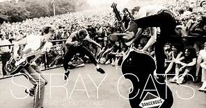 THE STRAY CATS, “Live At Rockpalast 1983/Loreley Open Air & 1981 Cologne”