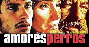 Trailer - AMORES PERROS (2000, Gael García Bernal, Emilio Echevarría)