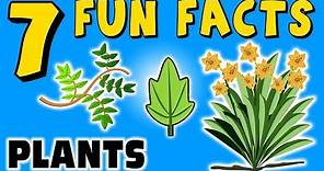 7 FUN FACTS ABOUT PLANTS! PLANT FACTS FOR KIDS! Learning Colors! Trees! Flowers! Funny! Sock Puppet!