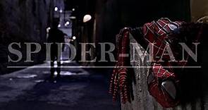 The Spider-Man Trilogy (Sam Raimi) | With Great Power Comes Great Responsibility