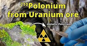 Polonium-210 from Uranium Ore - Nuclear Chemistry