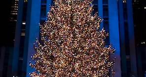 Rockefeller Center Christmas tree dazzles at lighting ceremony