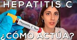 ¿Cómo actúa el VIRUS de la HEPATITIS C?