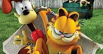 Garfield en la vida real - película: Ver online