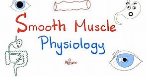 Smooth Muscles Physiology and Myosin-light Chain Kinase/ Phosphatase | Physiology Lectures