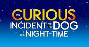 The Curious Incident Of The Dog In The Night-time trailer