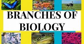 WHAT ARE THE DIFFERENT BRANCHES OF BIOLOGY? | COMMON BRANCHES OF BIOLOGY