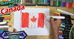 Dibuja la bandera Nacional de Canadá - Draw the flag of Canada