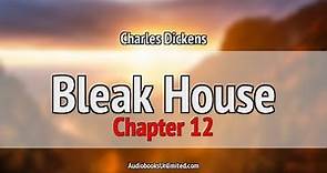 Bleak House Audiobook Chapter 12