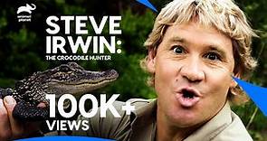 The Best of Steve Irwin - The Crocodile Hunter🐊 | Best Moments | Animal Planet
