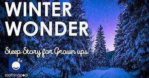 Bedtime Sleep Stories | ❄️ Winter Wonder ⛄ | Relaxing Sleep Story for Grown Ups | Winter Scenery