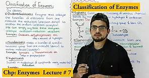 Classification of enzymes | 6 types of enzymes |