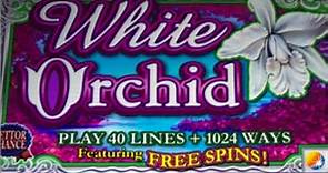 White Orchid Slot Machine 🎰 Bonuses And Retriggers $4 Bet Nice Wins Up To 40 Free Games 👍😁
