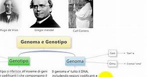 Differenza tra: Genotipo, Genoma e fenotipo per il test di medicina