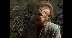 Neelix introduces the Voyager crew to leola roots (Star Trek Voyager - State of Flux)