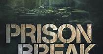 Prison Break temporada 5 - Ver todos los episodios online