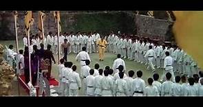 Enter the dragon (1973) : Bruce lee last fight scene