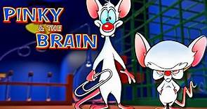 Pinky & The Brain Explored - A Forgotten Gem, Hilarious & Intelligent Cartoon Produced By Spielberg