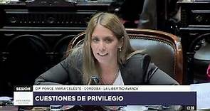 Diputada Ponce, María Celeste - LLA - Continuación de Sesión - 01-02-2024 - CP