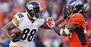 Darrius Heyward-Bey || Official Steelers Highlights ||